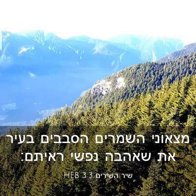 Picture 03 - שיר השירים 3:3 HEB - מצאוני השמרים הסבבים בעיר - Bible Verse Picture