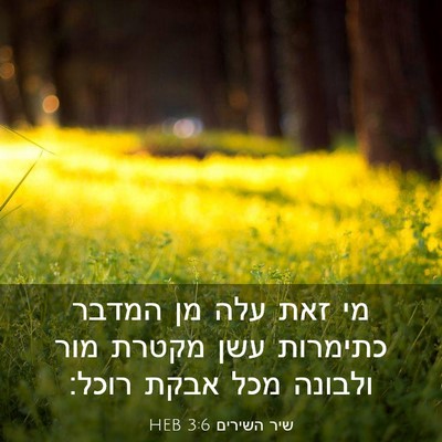Picture 03 - שיר השירים 3:6 HEB - מי זאת עלה מן המדבר כתימרות - Bible Verse Picture