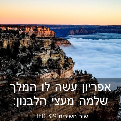 Picture 03 - שיר השירים 3:9 HEB - אפריון עשה לו המלך שלמה - Bible Verse Picture