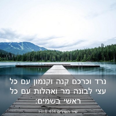 Picture 03 - שיר השירים 4:14 HEB - נרד וכרכם קנה וקנמון עם כל - Bible Verse Picture
