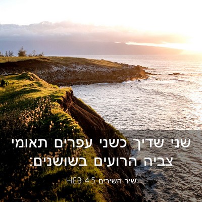 Picture 03 - שיר השירים 4:5 HEB - שני שדיך כשני עפרים תאומי - Bible Verse Picture
