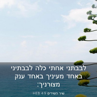 Picture 03 - שיר השירים 4:9 HEB - לבבתני אחתי כלה לבבתיני - Bible Verse Picture