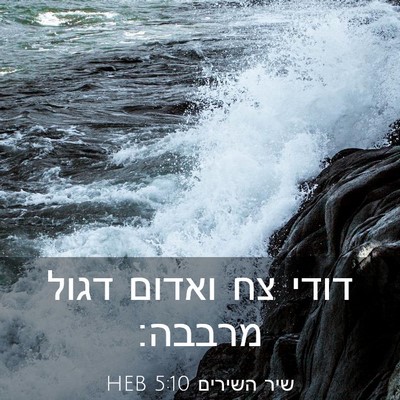 Picture 03 - שיר השירים 5:10 HEB - דודי צח ואדום דגול - Bible Verse Picture