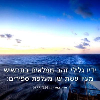 Picture 03 - שיר השירים 5:14 HEB - ידיו גלילי זהב ממלאים - Bible Verse Picture