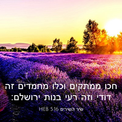 Picture 03 - שיר השירים 5:16 HEB - חכו ממתקים וכלו מחמדים זה - Bible Verse Picture