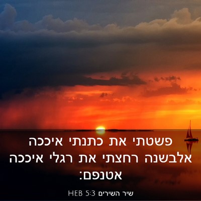 Picture 03 - שיר השירים 5:3 HEB - פשטתי את כתנתי איככה - Bible Verse Picture