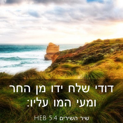 Picture 03 - שיר השירים 5:4 HEB - דודי שלח ידו מן החר ומעי - Bible Verse Picture