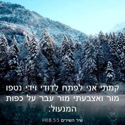 Picture 03 - שיר השירים 5:5 HEB - קמתי אני לפתח לדודי וידי - Bible Verse Picture