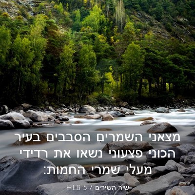 Picture 03 - שיר השירים 5:7 HEB - מצאני השמרים הסבבים בעיר - Bible Verse Picture