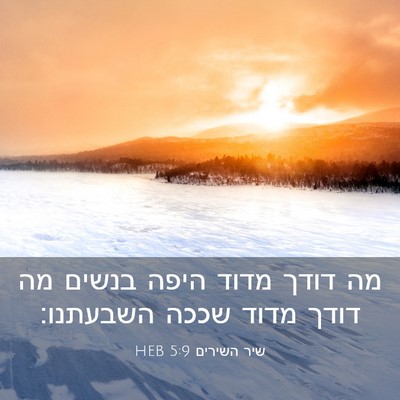 Picture 03 - שיר השירים 5:9 HEB - מה דודך מדוד היפה בנשים מה - Bible Verse Picture