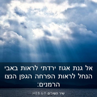 Picture 03 - שיר השירים 6:11 HEB - אל גנת אגוז ירדתי לראות - Bible Verse Picture