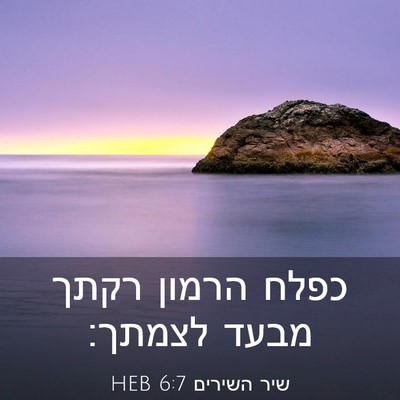 Picture 03 - שיר השירים 6:7 HEB - כפלח הרמון רקתך מבעד - Bible Verse Picture