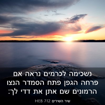 Picture 03 - שיר השירים 7:12 HEB - נשכימה לכרמים נראה אם פרחה - Bible Verse Picture