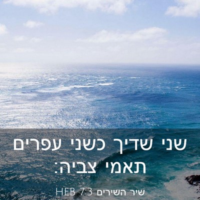 Picture 03 - שיר השירים 7:3 HEB - שני שדיך כשני עפרים תאמי - Bible Verse Picture