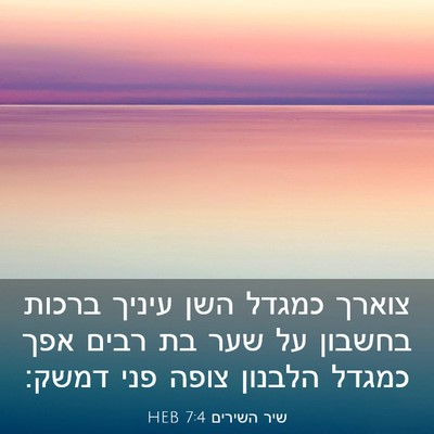 Picture 03 - שיר השירים 7:4 HEB - צוארך כמגדל השן עיניך - Bible Verse Picture