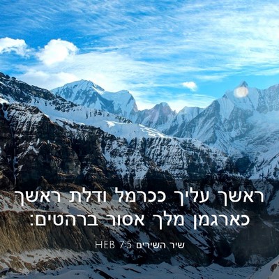Picture 03 - שיר השירים 7:5 HEB - ראשך עליך ככרמל ודלת ראשך - Bible Verse Picture