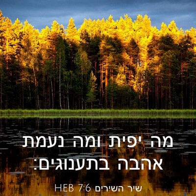 Picture 03 - שיר השירים 7:6 HEB - מה יפית ומה נעמת אהבה - Bible Verse Picture