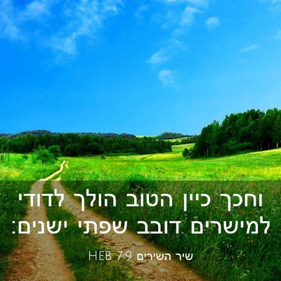 Picture 03 - שיר השירים 7:9 HEB - וחכך כיין הטוב הולך לדודי - Bible Verse Picture