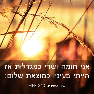 Picture 03 - שיר השירים 8:10 HEB - אני חומה ושדי כמגדלות אז - Bible Verse Picture