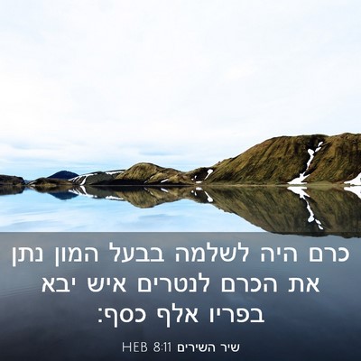Picture 03 - שיר השירים 8:11 HEB - כרם היה לשלמה בבעל המון נתן - Bible Verse Picture