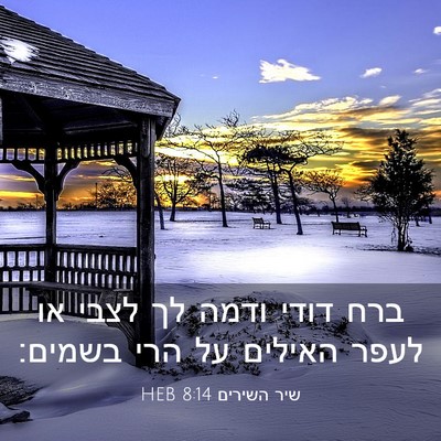 Picture 03 - שיר השירים 8:14 HEB - ברח דודי ודמה לך לצבי או - Bible Verse Picture