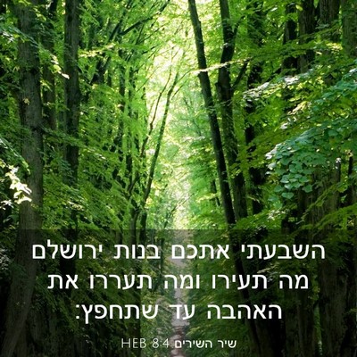 Picture 03 - שיר השירים 8:4 HEB - השבעתי אתכם בנות ירושלם מה - Bible Verse Picture