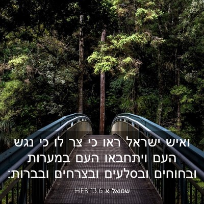 Picture 03 - שמואל א 13:6 HEB - ואיש ישראל ראו כי צר לו כי - Bible Verse Picture