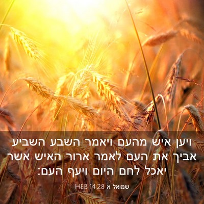 Picture 03 - שמואל א 14:28 HEB - ויען איש מהעם ויאמר השבע - Bible Verse Picture