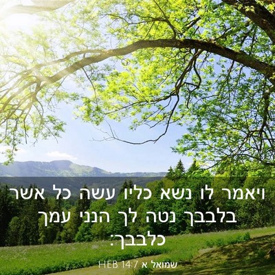 Picture 03 - שמואל א 14:7 HEB - ויאמר לו נשא כליו עשה כל - Bible Verse Picture