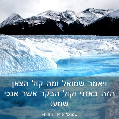 Picture 03 - שמואל א 15:14 HEB - ויאמר שמואל ומה קול הצאן - Bible Verse Picture