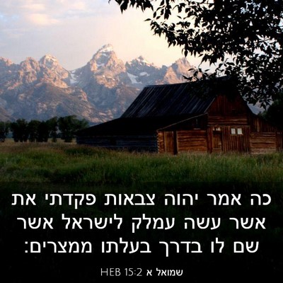 Picture 03 - שמואל א 15:2 HEB - כה אמר יהוה צבאות פקדתי את - Bible Verse Picture