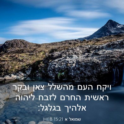 Picture 03 - שמואל א 15:21 HEB - ויקח העם מהשלל צאן ובקר - Bible Verse Picture