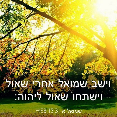 Picture 03 - שמואל א 15:31 HEB - וישב שמואל אחרי שאול - Bible Verse Picture