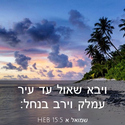 Picture 03 - שמואל א 15:5 HEB - ויבא שאול עד עיר עמלק וירב - Bible Verse Picture