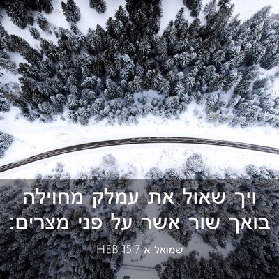 Picture 03 - שמואל א 15:7 HEB - ויך שאול את עמלק מחוילה - Bible Verse Picture