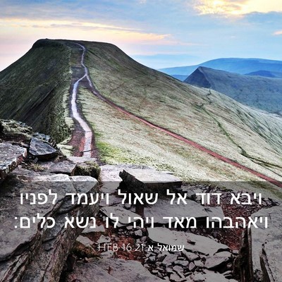 Picture 03 - שמואל א 16:21 HEB - ויבא דוד אל שאול ויעמד - Bible Verse Picture