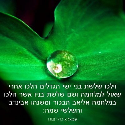 Picture 03 - שמואל א 17:13 HEB - וילכו שלשת בני ישי הגדלים - Bible Verse Picture