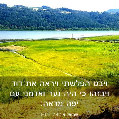 Picture 03 - שמואל א 17:42 HEB - ויבט הפלשתי ויראה את דוד - Bible Verse Picture