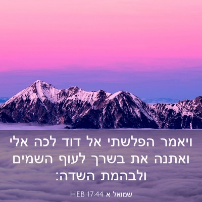 Picture 03 - שמואל א 17:44 HEB - ויאמר הפלשתי אל דוד לכה אלי - Bible Verse Picture