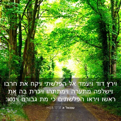 Picture 03 - שמואל א 17:51 HEB - וירץ דוד ויעמד אל הפלשתי - Bible Verse Picture