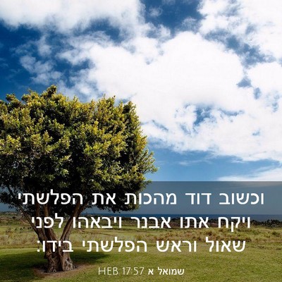 Picture 03 - שמואל א 17:57 HEB - וכשוב דוד מהכות את הפלשתי - Bible Verse Picture