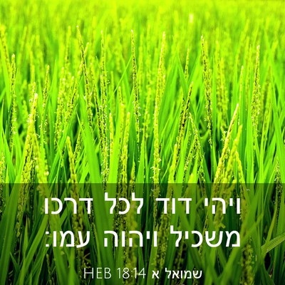 Picture 03 - שמואל א 18:14 HEB - ויהי דוד לכל דרכו משכיל - Bible Verse Picture