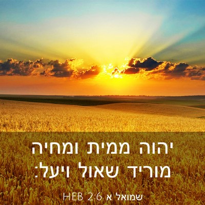 Picture 03 - שמואל א 2:6 HEB - יהוה ממית ומחיה מוריד שאול - Bible Verse Picture