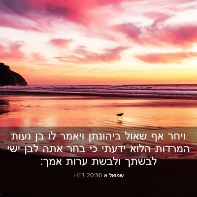 Picture 03 - שמואל א 20:30 HEB - ויחר אף שאול ביהונתן ויאמר - Bible Verse Picture
