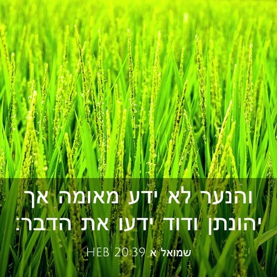 Picture 03 - שמואל א 20:39 HEB - והנער לא ידע מאומה אך - Bible Verse Picture