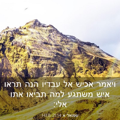 Picture 03 - שמואל א 21:14 HEB - ויאמר אכיש אל עבדיו הנה - Bible Verse Picture