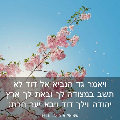 Picture 03 - שמואל א 22:5 HEB - ויאמר גד הנביא אל דוד לא - Bible Verse Picture