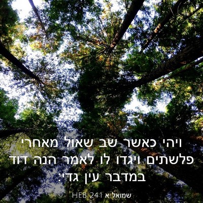 Picture 03 - שמואל א 24:1 HEB - ויהי כאשר שב שאול מאחרי - Bible Verse Picture