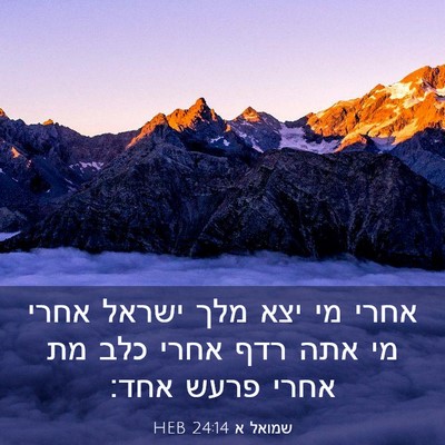 Picture 03 - שמואל א 24:14 HEB - אחרי מי יצא מלך ישראל אחרי - Bible Verse Picture