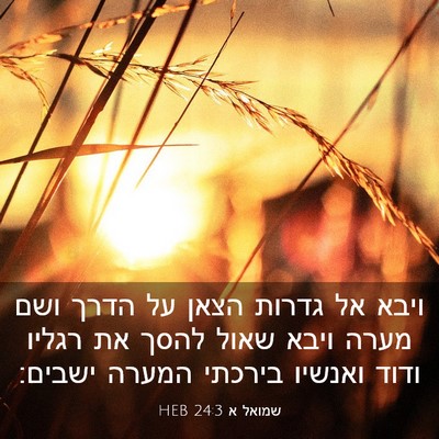 Picture 03 - שמואל א 24:3 HEB - ויבא אל גדרות הצאן על הדרך - Bible Verse Picture